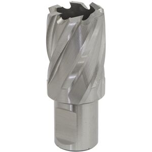 Sealey Rotabor Cutter Hss Ø28mm - Cut Depth 25mm - Rbhss28s Sealey Rotabor Cutter Hss Ø28mm - Cut Depth 25mm - Rbhss28s