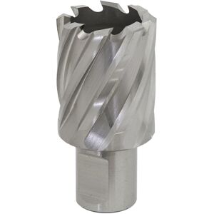 Sealey Rotabor Cutter Hss Ø30mm - Cut Depth 25mm - Rbhss30s Sealey Rotabor Cutter Hss Ø30mm - Cut Depth 25mm - Rbhss30s