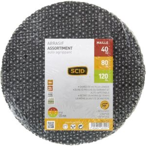 Scid Lot Of 10 Silicon Carbide Mesh Abrasive Discs 125 Mm Self-Adhesive G Scid Lot Of 10 Silicon Carbide Mesh Abrasive Discs 125 Mm Self-Adhesive G