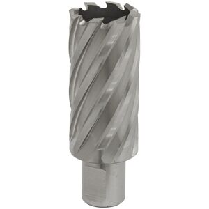 Sealey Worksafe RBHSS30L - 30mm HSS Mag Drill Bit - 50mm Depth Sealey Worksafe RBHSS30L - 30mm HSS Mag Drill Bit - 50mm Depth