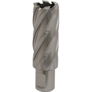 Worksafe RBHSS26L Rotabor Cutter - 26mm, 50mm deep, HSS Worksafe RBHSS26L Rotabor Cutter - 26mm, 50mm deep, HSS