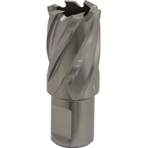 Thatcable 23mm X 25mm Depth Rotabor Cutter - M2 Steel Annular Metal Core Drill 19mm Shank Thatcable 23mm X 25mm Depth Rotabor Cutter - M2 Steel Annular Metal Core Drill 19mm Shank