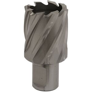 Sealey Rotabor Cutter Hss �33mm - Cut Depth 25mm Rbhss33s Sealey Rotabor Cutter Hss �33mm - Cut Depth 25mm Rbhss33s