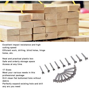17pcs Forstner Drill Bits Carbon Steel For Various Tasks Woodworking Tools Set 17pcs Forstner Drill Bits Carbon Steel For Various Tasks Woodworking Tools Set