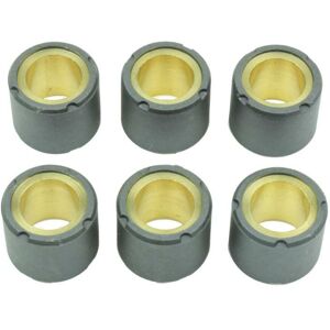 Athena Variator Rollers 20x17mm - 6 pcs - Scooter Transmission Parts Athena Variator Rollers 20x17mm - 6 pcs - Scooter Transmission Parts
