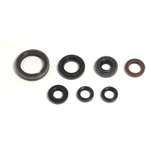 Athena Complete Engine Oil Seal Kit For Yamaha Wr 250 F 2003-2004 Athena Complete Engine Oil Seal Kit For Yamaha Wr 250 F 2003-2004