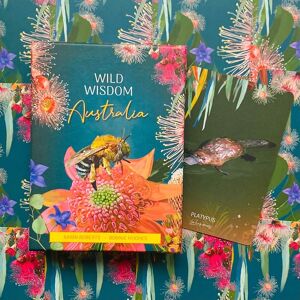 Sale Wild Wisdom Australia Oracle Cards Deck Blue Angel K.Roberts - B.Hughes New Sale Wild Wisdom Australia Oracle Cards Deck Blue Angel K.Roberts - B.Hughes New