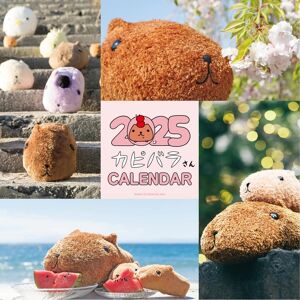 Shufu To Seikatsusha 2025 Capybara-San Wall Calendar, From Japan Shufu To Seikatsusha 2025 Capybara-San Wall Calendar, From Japan
