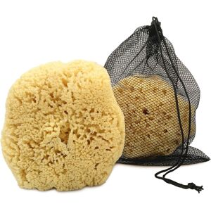 Constantia Beauty Real Sea Sponge For Men - Extra Large 6\"-7\", Totally Natural, Kind On Skin For Constantia Beauty Real Sea Sponge For Men - Extra Large 6\"-7\", Totally Natural, Kind On Skin For