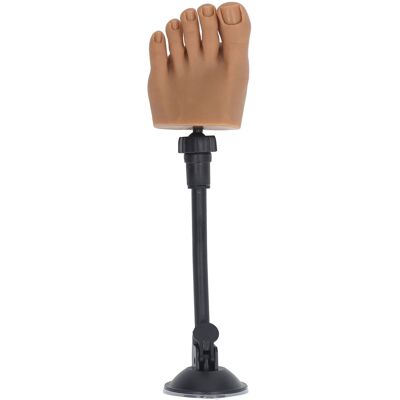 Care+ Silicone Nail Art Practice Foot Model Nail Tip Training Foot Model Silicone Half Care+ Silicone Nail Art Practice Foot Model Nail Tip Training Foot Model Silicone Half