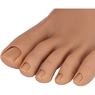 Care+ Nail Art Training Foot Model Nail Art Practice Foot Model Half Foot For Home Care+ Nail Art Training Foot Model Nail Art Practice Foot Model Half Foot For Home