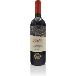 Emiliana Coyam Organic 2022 750ml Red Emiliana Coyam Organic 2022 750ml Red
