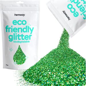 Hemway Eco Friendly Glitter 100g / 3.5oz Emerald Green Holographic DIY, Decoration, Arts & Crafts Hemway Eco Friendly Glitter 100g / 3.5oz Emerald Green Holographic DIY, Decoration, Arts & Crafts