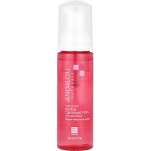 Andalou Naturals, 1000 Roses, Gentle Cleansing Foam, Sensitive, 5.5 fl oz (163 ml) Andalou Naturals, 1000 Roses, Gentle Cleansing Foam, Sensitive, 5.5 fl oz (163 ml)