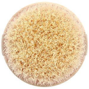 EcoTools, Dry Body Brush, 1 Brush EcoTools, Dry Body Brush, 1 Brush