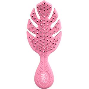 Wet Brush, Go Green Mini Detangler, Pink, 1 Brush Wet Brush, Go Green Mini Detangler, Pink, 1 Brush