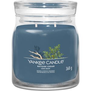 Yankee Candle Bayside Cedar Signature Medium Jar Candle Yankee Candle Bayside Cedar Signature Medium Jar Candle