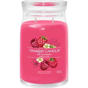 Yankee Candle Red Raspberry Signature Large Jar Candle Yankee Candle Red Raspberry Signature Large Jar Candle