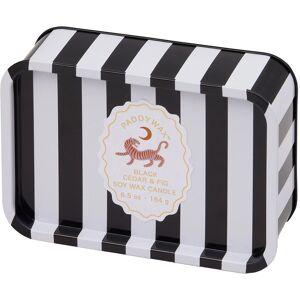 Paddywax A Dopo ‘Tiger’ Black Cedar & Fig 184g Tin Candle Paddywax A Dopo ‘Tiger’ Black Cedar & Fig 184g Tin Candle
