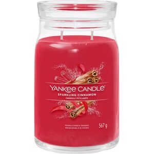 Yankee Candle Sparkling Cinnamon Signature Large Jar Candle Yankee Candle Sparkling Cinnamon Signature Large Jar Candle