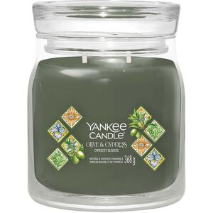 Yankee Candle Olive & Cypress Signature Medium Jar Candle Yankee Candle Olive & Cypress Signature Medium Jar Candle