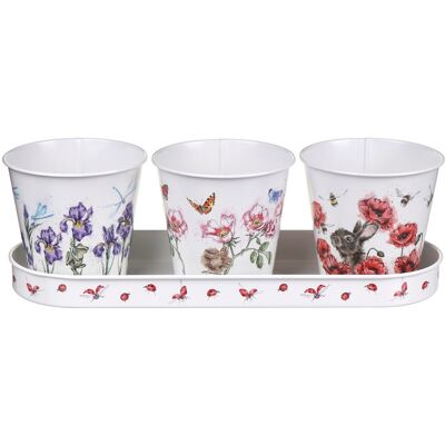 Wrendale Designs Floral Herb Pots and Tray Wrendale Designs Floral Herb Pots and Tray