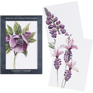 Toasted Crumpet The Mulberry Collection Notecards Mixed Set of 8 Toasted Crumpet The Mulberry Collection Notecards Mixed Set of 8