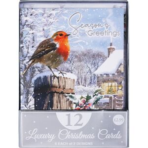 Eurowrap Robins In The Snow Set of 12 Christmas Cards Eurowrap Robins In The Snow Set of 12 Christmas Cards