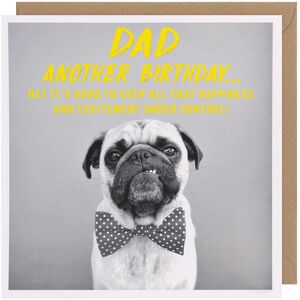 Paperlink Pixel Pug Dad Birthday Card Paperlink Pixel Pug Dad Birthday Card