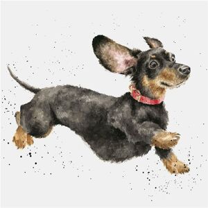 Wrendale Designs ‘That Friday Feeling’ Dachshund Greetings Card Wrendale Designs ‘That Friday Feeling’ Dachshund Greetings Card