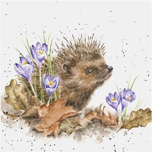 Wrendale Designs ‘New Beginnings’ Hedgehog Greetings Card Wrendale Designs ‘New Beginnings’ Hedgehog Greetings Card