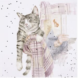 Wrendale Designs ‘Lazy Sunday’ Cat Greetings Card Wrendale Designs ‘Lazy Sunday’ Cat Greetings Card