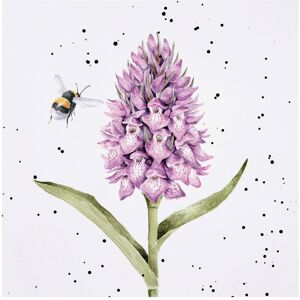 Wrendale Designs ‘Marsh Orchid’ Bee Greetings Card Wrendale Designs ‘Marsh Orchid’ Bee Greetings Card