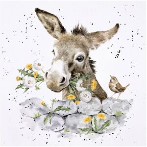 Wrendale Designs ‘Fine And Dandy’ Donkey Greetings Card Wrendale Designs ‘Fine And Dandy’ Donkey Greetings Card