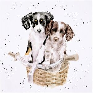Wrendale Designs ‘Paws And Pedals’ Dogs Greetings Card Wrendale Designs ‘Paws And Pedals’ Dogs Greetings Card