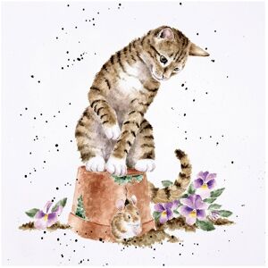 Wrendale Designs ‘Hide And Squeak’ Cat Greetings Card Wrendale Designs ‘Hide And Squeak’ Cat Greetings Card