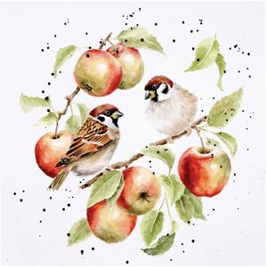 Wrendale Designs ‘The Apple Tree’ Sparrows Greetings Card Wrendale Designs ‘The Apple Tree’ Sparrows Greetings Card