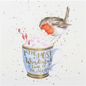 Wrendale Designs ‘Winter Warmer’ Robin Christmas Card Wrendale Designs ‘Winter Warmer’ Robin Christmas Card