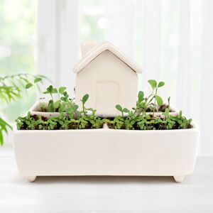 Gift Republic Self Watering House Gift Republic Self Watering House