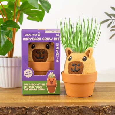 Gift Republic Grow Pal – Capybara Gift Republic Grow Pal – Capybara