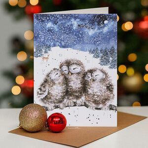 Wrendale Designs ‘Following Yonder Star’ Owls Advent Calendar Card Wrendale Designs ‘Following Yonder Star’ Owls Advent Calendar Card