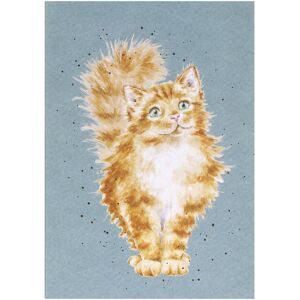 Wrendale Designs 'Just Purr-fect' Cat A6 Notebook Wrendale Designs 'Just Purr-fect' Cat A6 Notebook
