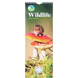 Otter House RSPB Wildlife 2026 Slim Calendar Otter House RSPB Wildlife 2026 Slim Calendar