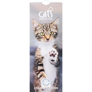 Otter House Cats Protection 2026 Slim Calendar Otter House Cats Protection 2026 Slim Calendar