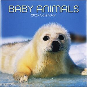 The Gifted Stationery Co Baby Animals 2026 Square Calendar The Gifted Stationery Co Baby Animals 2026 Square Calendar
