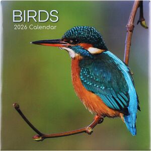 The Gifted Stationery Co Birds 2026 Square Calendar The Gifted Stationery Co Birds 2026 Square Calendar