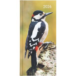 The Gifted Stationery Co Woodpecker 2026 Slim Diary The Gifted Stationery Co Woodpecker 2026 Slim Diary