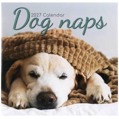 The Gifted Stationery Co Dog Naps 2027 Wall Calendar The Gifted Stationery Co Dog Naps 2027 Wall Calendar