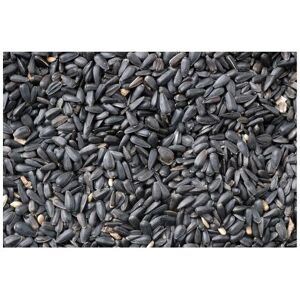 Bucktons Loose Black Sunflower Seed - 12.75kg Bucktons Loose Black Sunflower Seed - 12.75kg