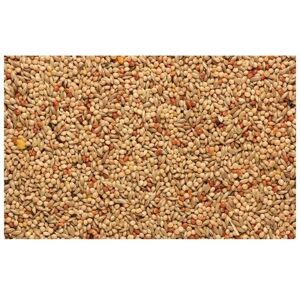 Bucktons Loose Budgie 50/50 - 5kg Bucktons Loose Budgie 50/50 - 5kg